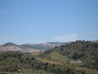 Tast amb Llops: Catando con Lobos 2009