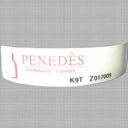 Cata de vinos blancos de Verema