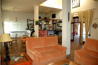 La datilera en Nijar