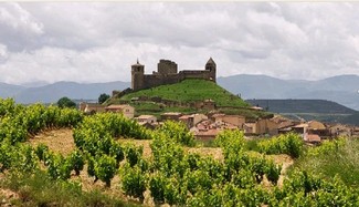 Viñedo en San Vicente de la Sonsierra