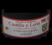 Cata de vinos de Castilla y León: los vinos de Toro