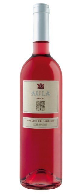 Aula rosado 2008