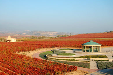 8º Encuentro de foreros destino La Rioja