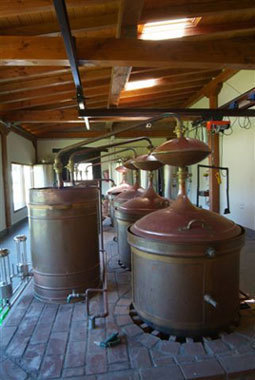 El mosto se destila en los alambiques consiguiendo gota a gota el aguardiente de orujo y el aguardiente de hierbas