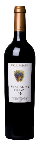 Vizcarra Torralvo 2006