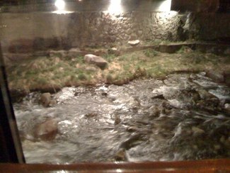 vista desde el comedor