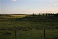 Tannat: Un vino de Uruguay (II)