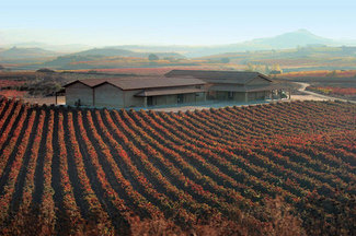 Bodega Viñedos de Páganos