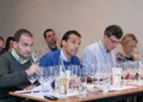 9º Encuentro Verema: Algunos apuntes a vuela pluma