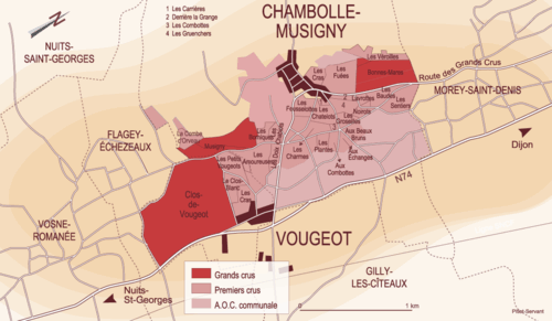 Chambolle-Musigny: La elegancia hecha vino