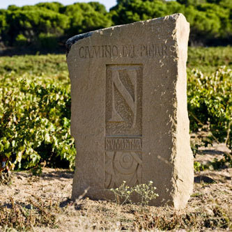 Manel Louzada: Entrevista al enólogo de Bodegas Numanthia