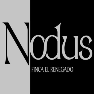 Logotipo Bodegas y Viñedos de Utiel