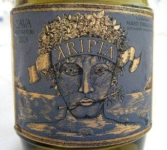 Visita a las cavas Agustí Torelló