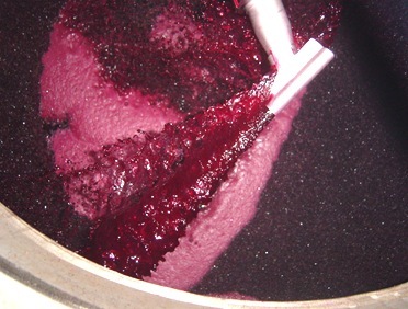 ¿Qué es el OVI y el “Delestage”? Modernas técnicas de elaboración en la Ribera del Duero