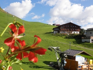 Vista