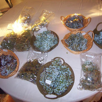 Cata de uvas en bodega Heretat de Cesilia