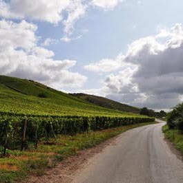 Otra gran interpretación de la riesling pizarrosa