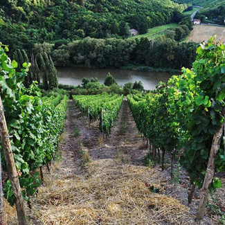 Simplemente Helmut Dönnhoff