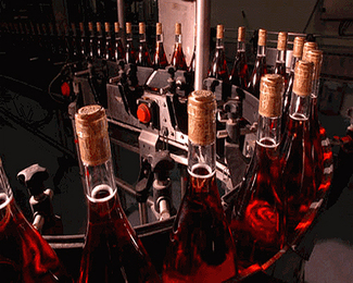 Linea embotellado Vinos Peñascal