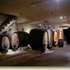 Binner Riesling Ammerschwir 2005