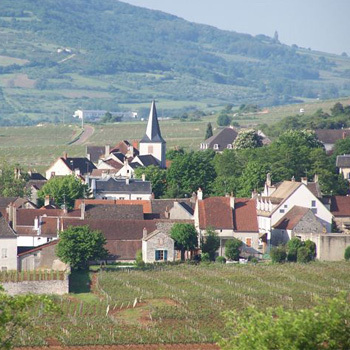 Michel Niellon y el encanto de Chassagne