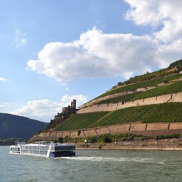 Rüdesheim por tierra, río y aire