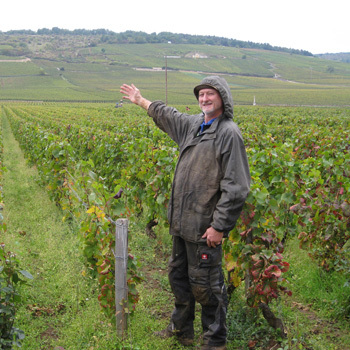 Vendimiando en la Borgoña 2010: Vosne-Romanée