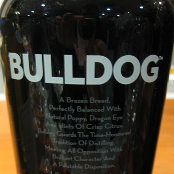 Noche temática: la ginebra