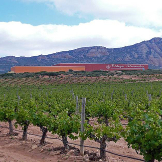 Vista del viñedo y de la bodega