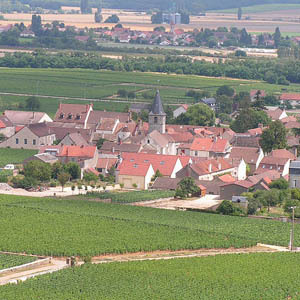 Vosne-Romanée: la Borgoña más exótica