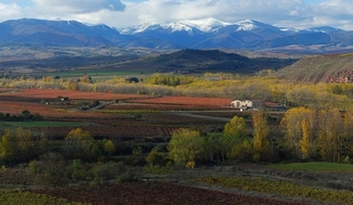 Vista general bodega