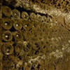 Rioja Trip: López de Heredia & Remírez de Ganuza