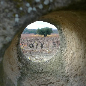 Rioja Trip: Contino & Muga