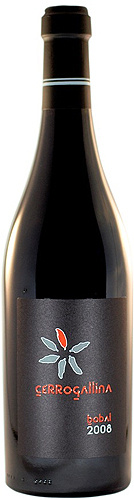 Cerrogallina 2008