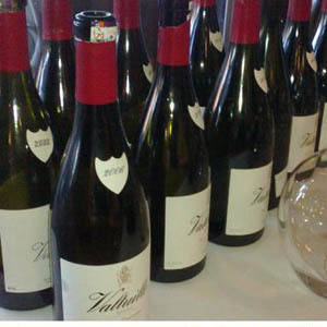 Cata vertical Valtuille cepas centenárias