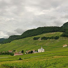La mejor Saboya de la mano de la familia Dupasquier