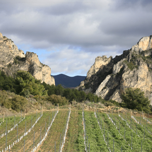 El paisaje agrario en La Rioja Alta
