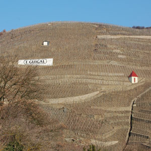 El valle del Ródano. Marche aus Vins.