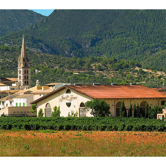 Exteriores Bodega Jose L. Ferrer