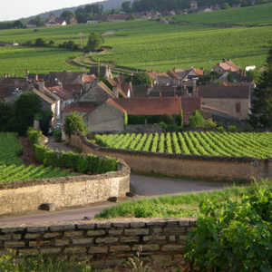 Pommard: ¿el “patito feo” de Borgoña?