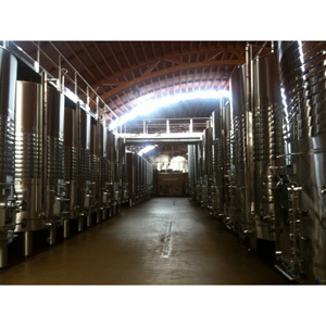 Visita al Templo: Excursión de Los Enogatos a la Bodega Pago del Vicario