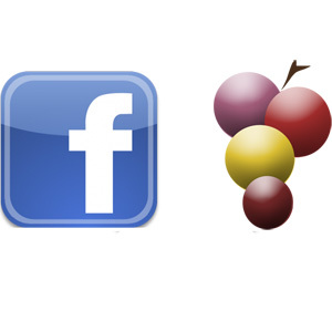 Facebook y Verema.com