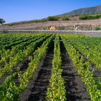 El Duero Desconocido