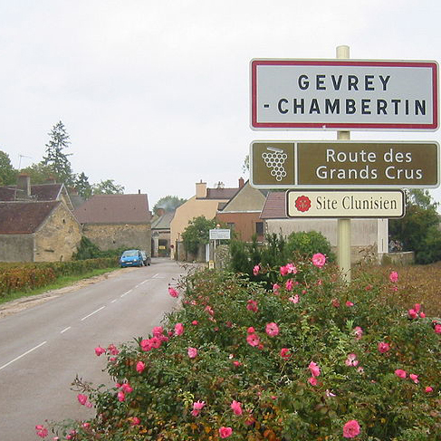 Gevrey-Chambertin, los Borgoñas más compactos