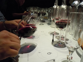 Cata de vinos malbec, Cata Centésima cuadragésima cuarta