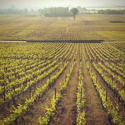 Meursault Les Perrières: un premier cru con alma de grand cru