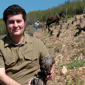 La producción de vinos biodinámicos propone devolver la peculiaridad del terruño a la copa