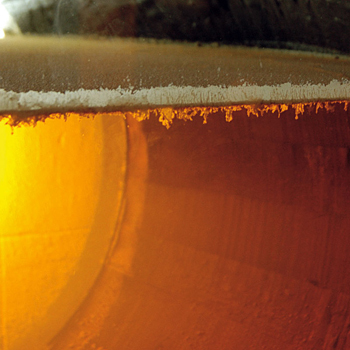 Manzanillas en rama, golpe de mar en la copa