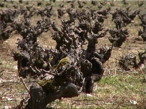 Crónica de una interesante muestra de hostelería en Salamanca