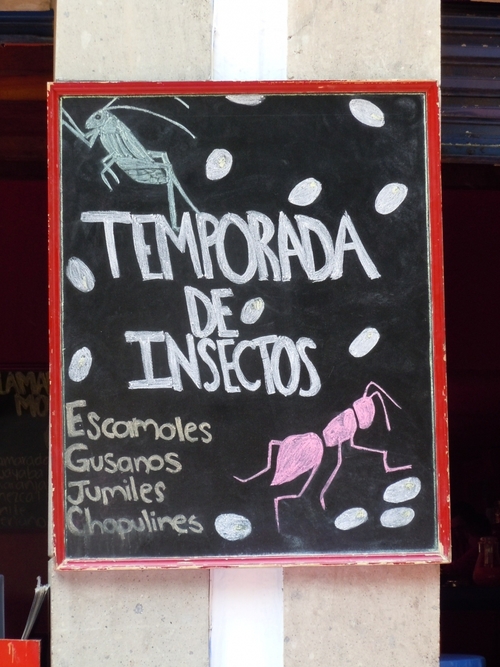 Coyoacán, Barrio Mágico...